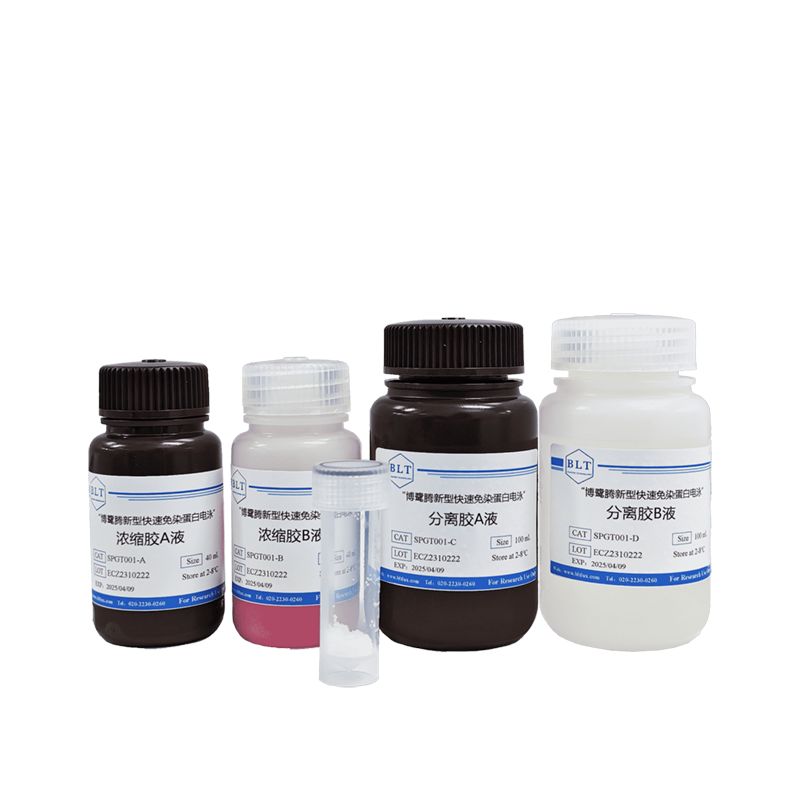 新型快速免染PAGE凝胶制备试剂盒