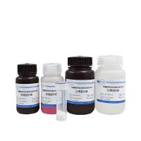 新型快速免染PAGE凝胶制备试剂盒