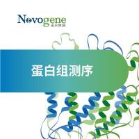 蛋白组测序