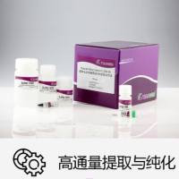 磁珠法通用型基因组DNA提取试剂盒(DP705)