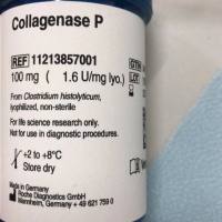 Roche货号11213857001-100mg胶原酶P上海睿安生物13611631389