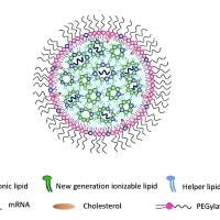  负载姜黄素（CUR）和伊马替尼（IMT）的纳米结构脂质载体被利妥昔单抗（RTX）修饰