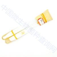 灵芝(红芝,赤芝)(可订购)