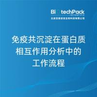 免疫共沉淀在蛋白质相互作用分析中的工作流程