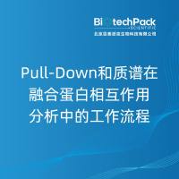 Pull-Down和质谱在融合蛋白相互作用分析中的工作流程