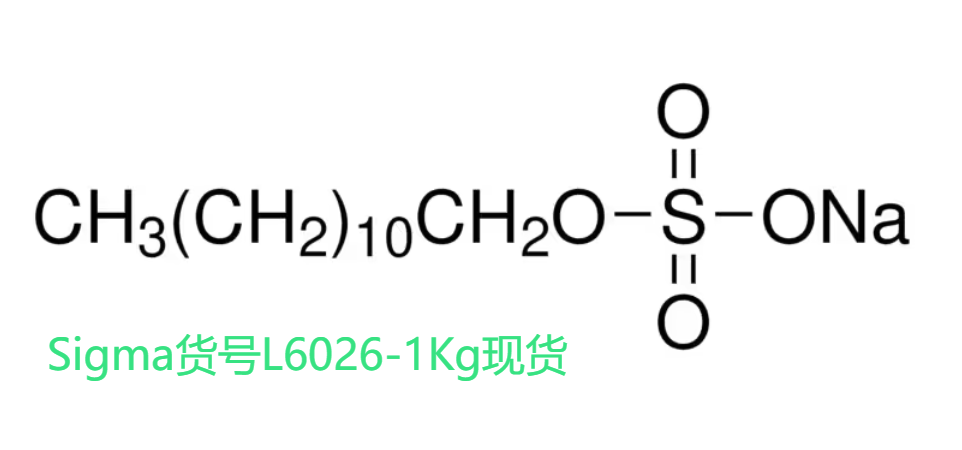 Sigma货号L6026-1Kg十二烷基硫酸钠(SDS)上海