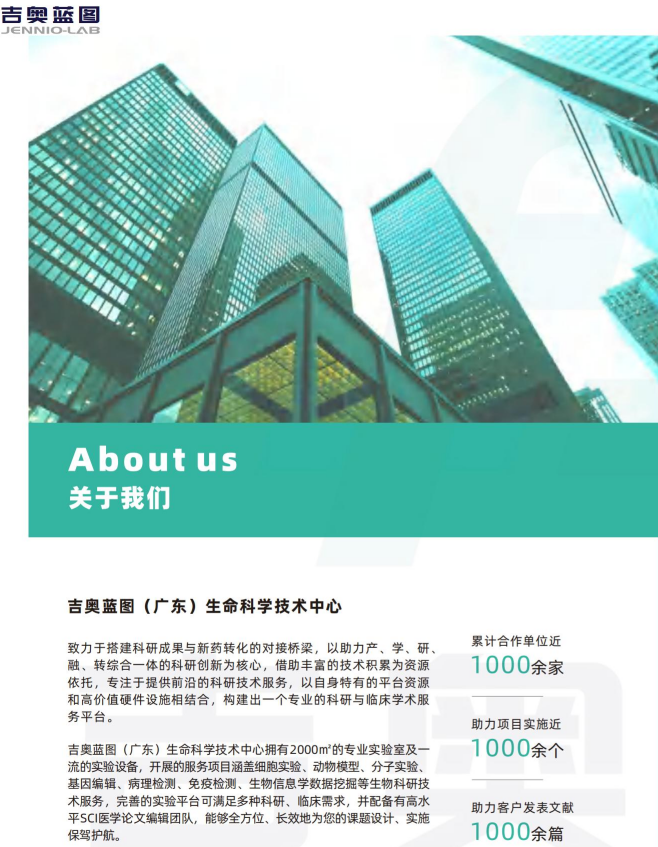 肿瘤模型 CDX肿瘤模型小鼠 PDX肿瘤模型动物中心 肿瘤模