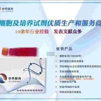 大鼠少突胶质前体细胞