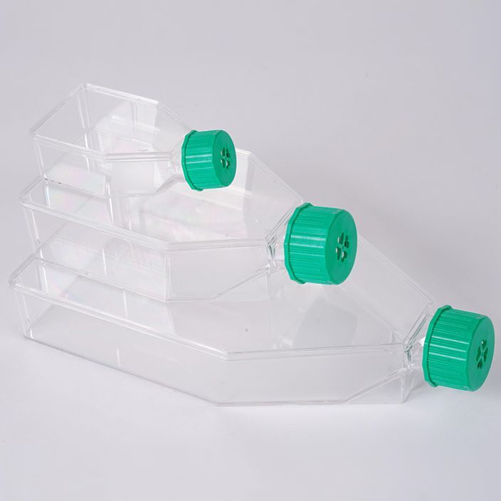 LuxCell乐赛 T25细胞培养瓶