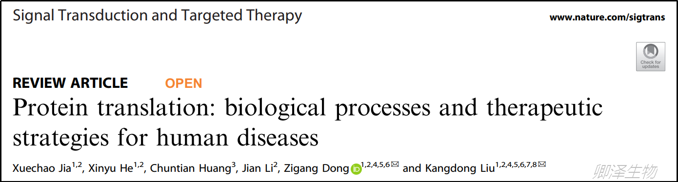高分综述 | 蛋白质翻译：人类疾病的生物学过程和治疗策略