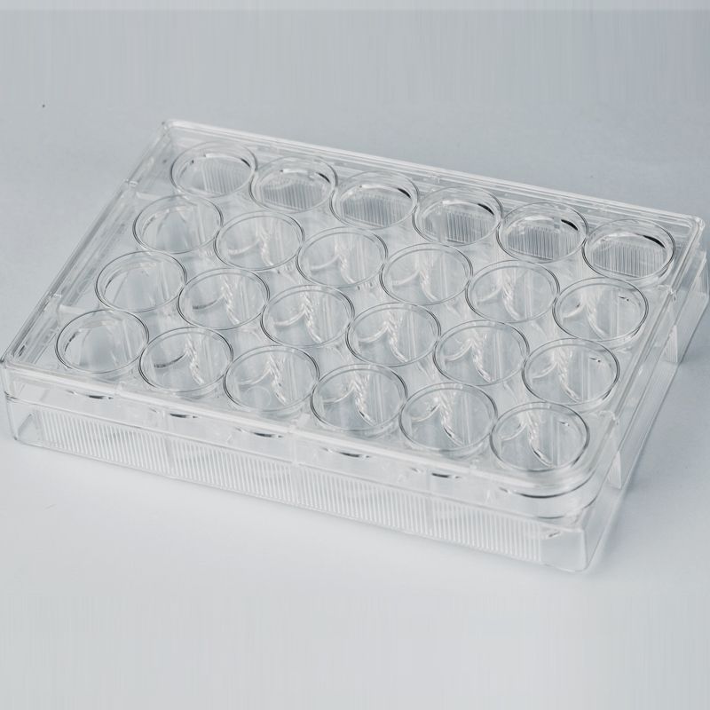 LuxCell乐赛 细胞培养板