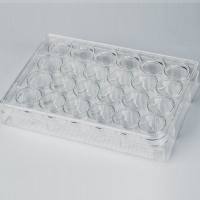 LuxCell乐赛 细胞培养板