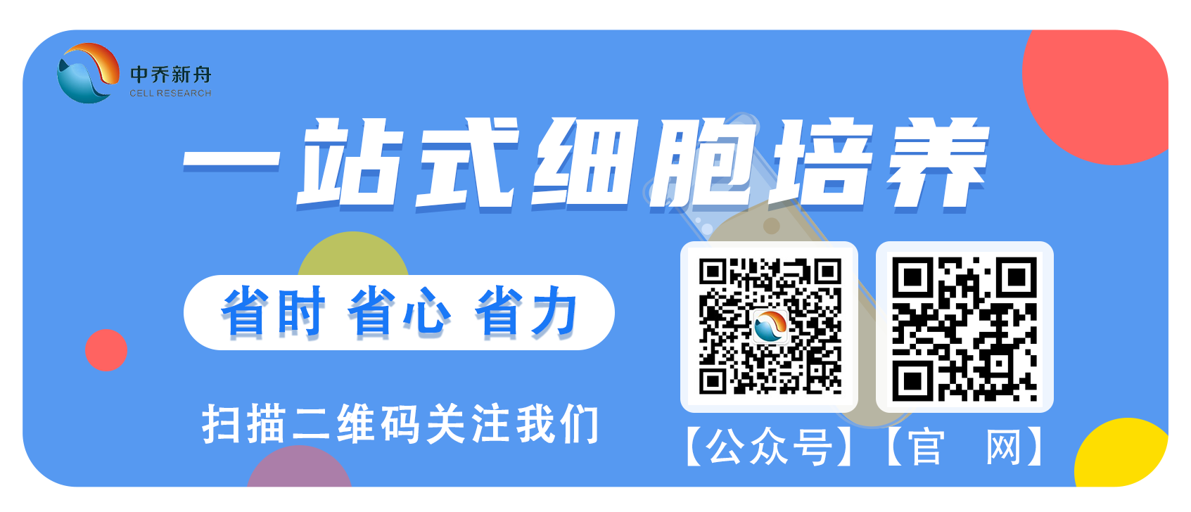 人肾小管上皮细胞完全培养基