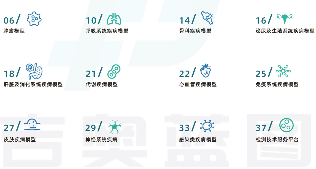 肿瘤模型 CDX肿瘤模型小鼠 PDX肿瘤模型动物中心 肿瘤模