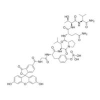 769166-98-5 | 5-FAM-G-{p-Tyr}-LPQTV-NH2 | 5FAM-Gly-Tyr(PO3H2)-Leu-Pro-Gln-Thr-Val-NH2 |  STAT3抑制剂 