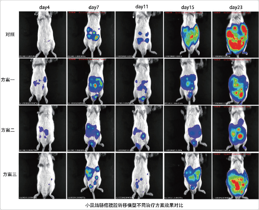 IVScope8000小动物活体成像系统