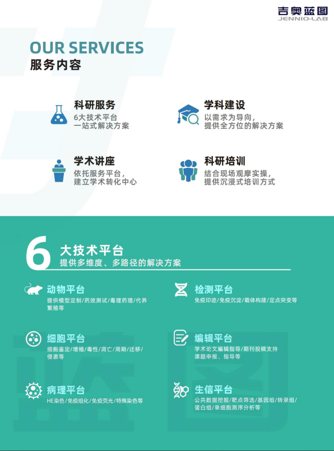 肿瘤模型 CDX肿瘤模型小鼠 PDX肿瘤模型动物中心 肿瘤模