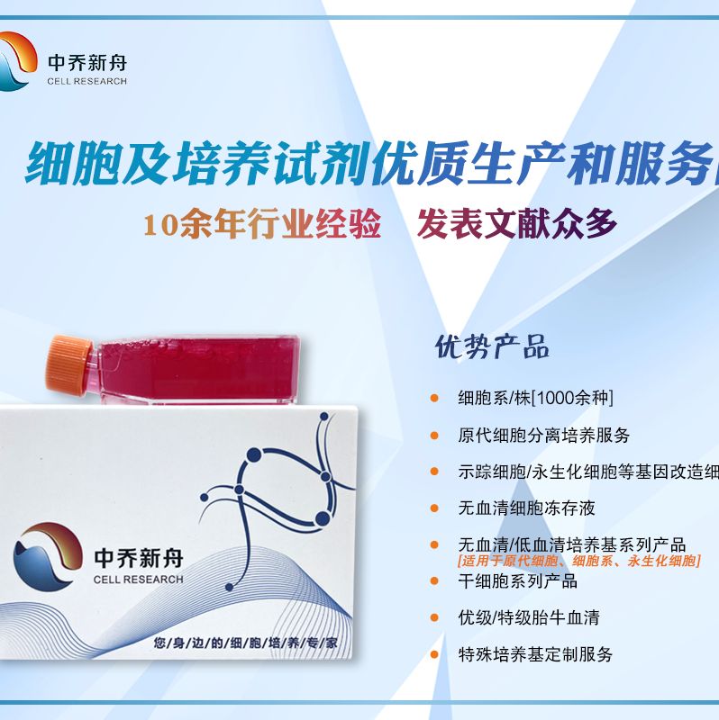 大鼠小肠黏膜上皮细胞产品图