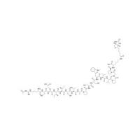 BCOR(498-514), biotinylated | 最小的BCL6结合域|Ac-RSEIISTAPSSWVVPGP-{Lys(biotin)}