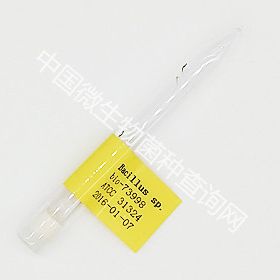 Bacillus sp.(现1)