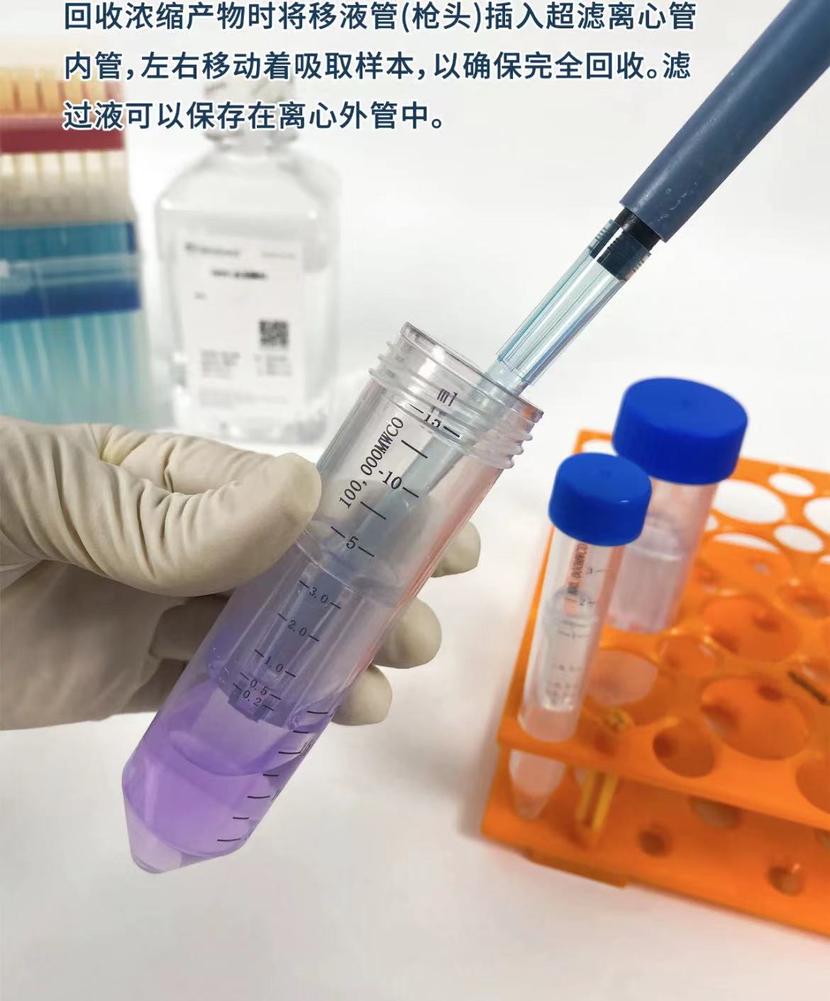 新闻图片6