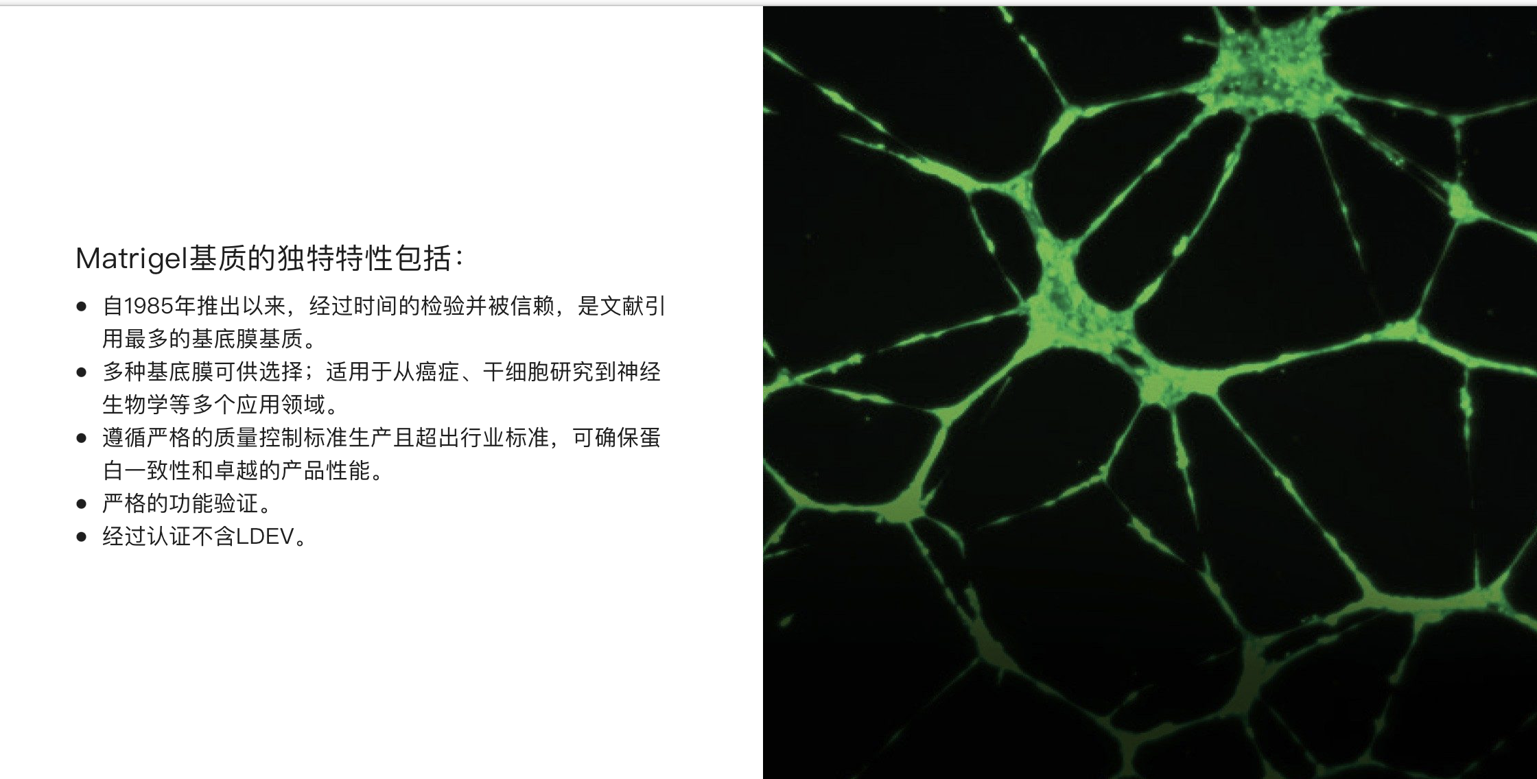 新闻图片2