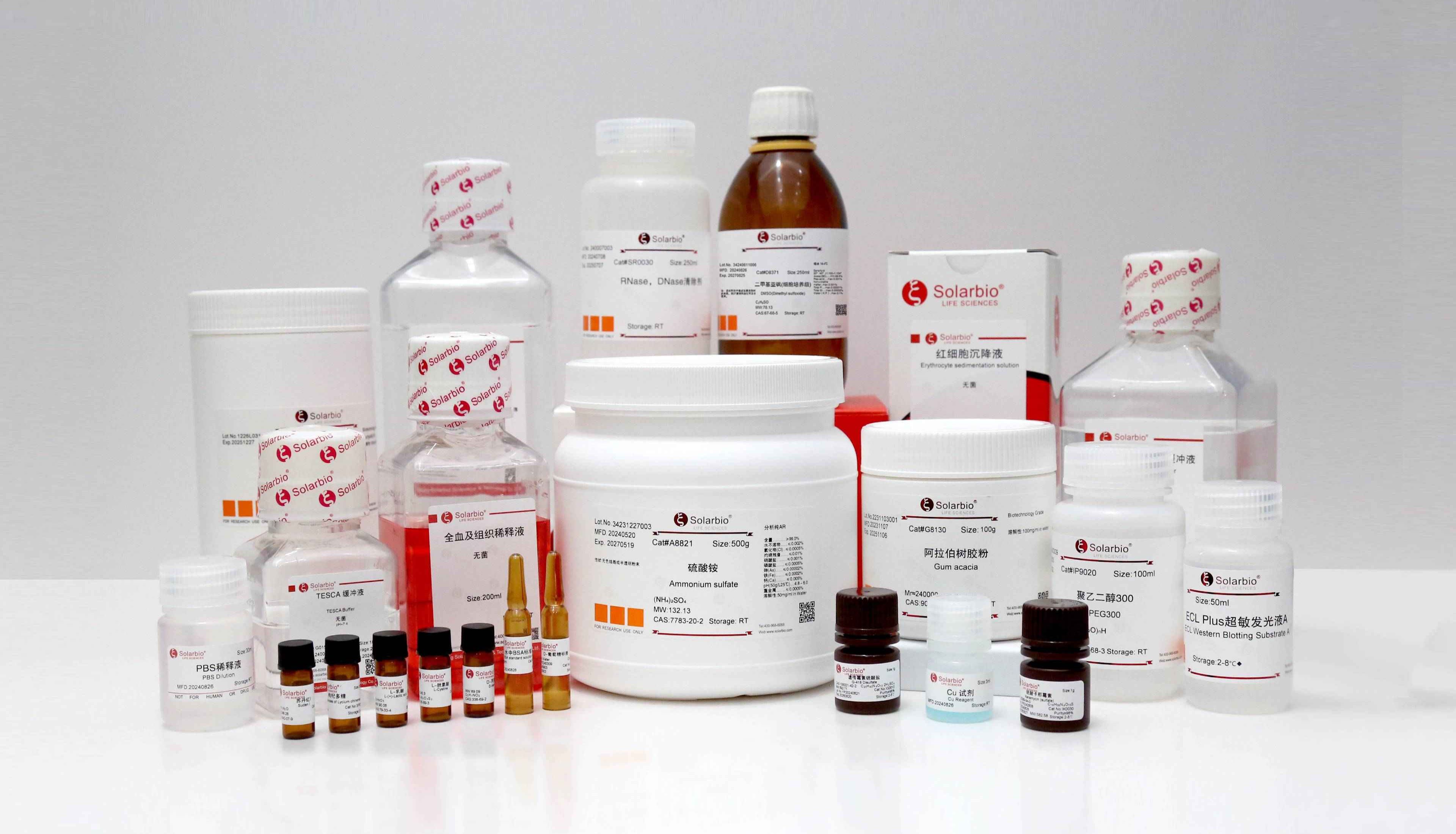 喜讯|索莱宝荣获北京商标品牌荣誉