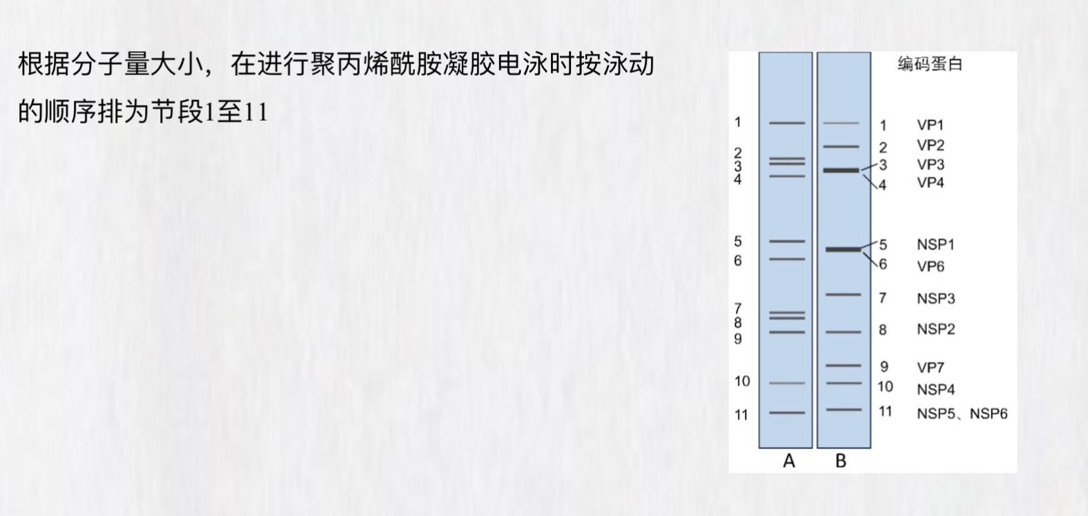 新闻图片4