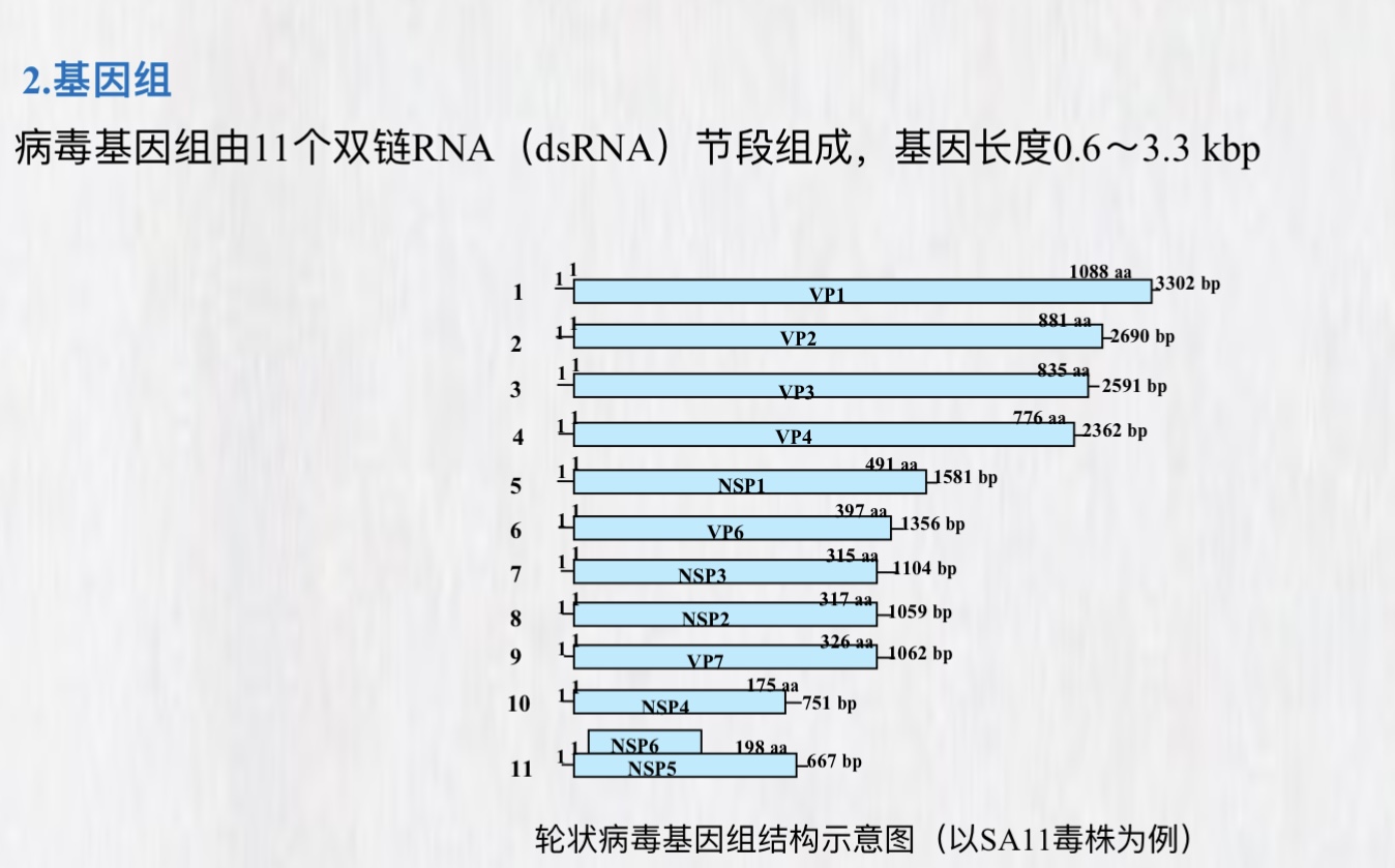 新闻图片3