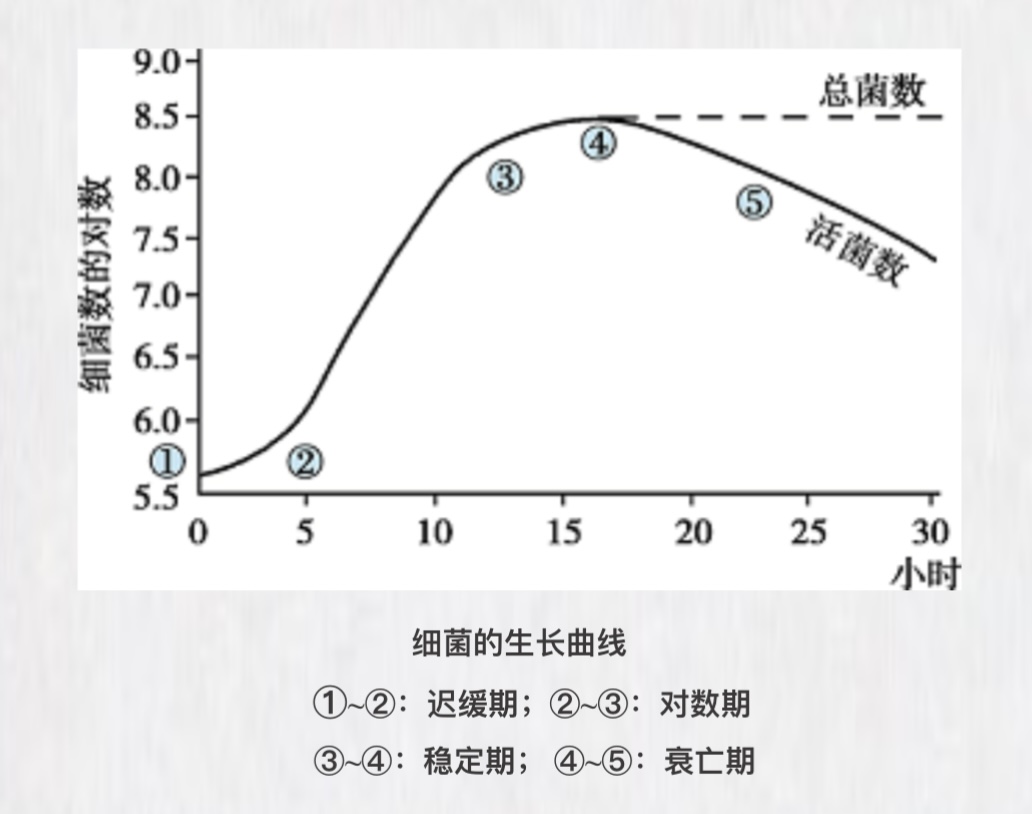 细菌的营养与生长繁殖