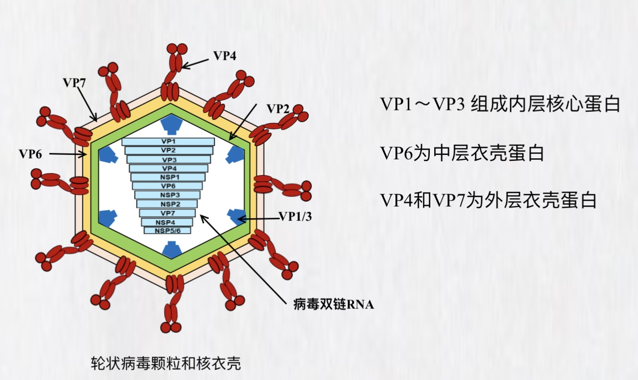 新闻图片2