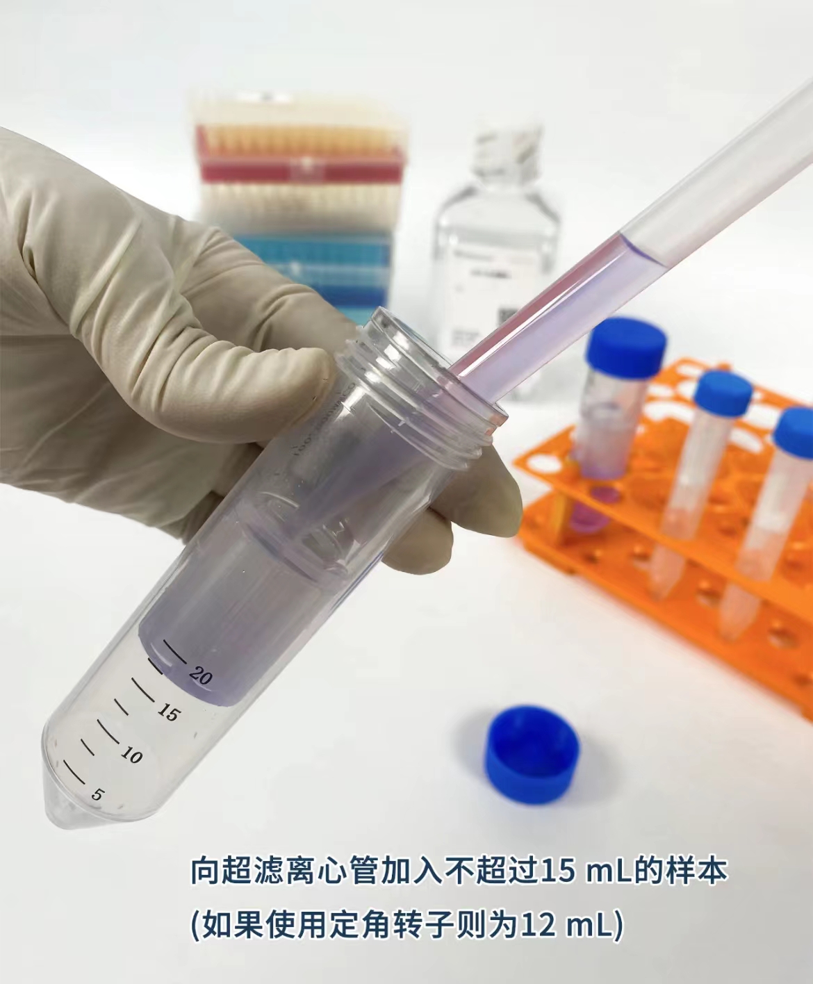 新闻图片8