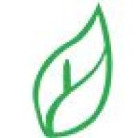 磷酸二酯酶I,BR,20u/mg