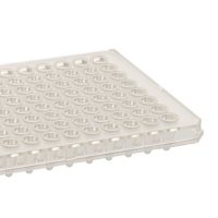 Armadillo 96-Well PCR Plate