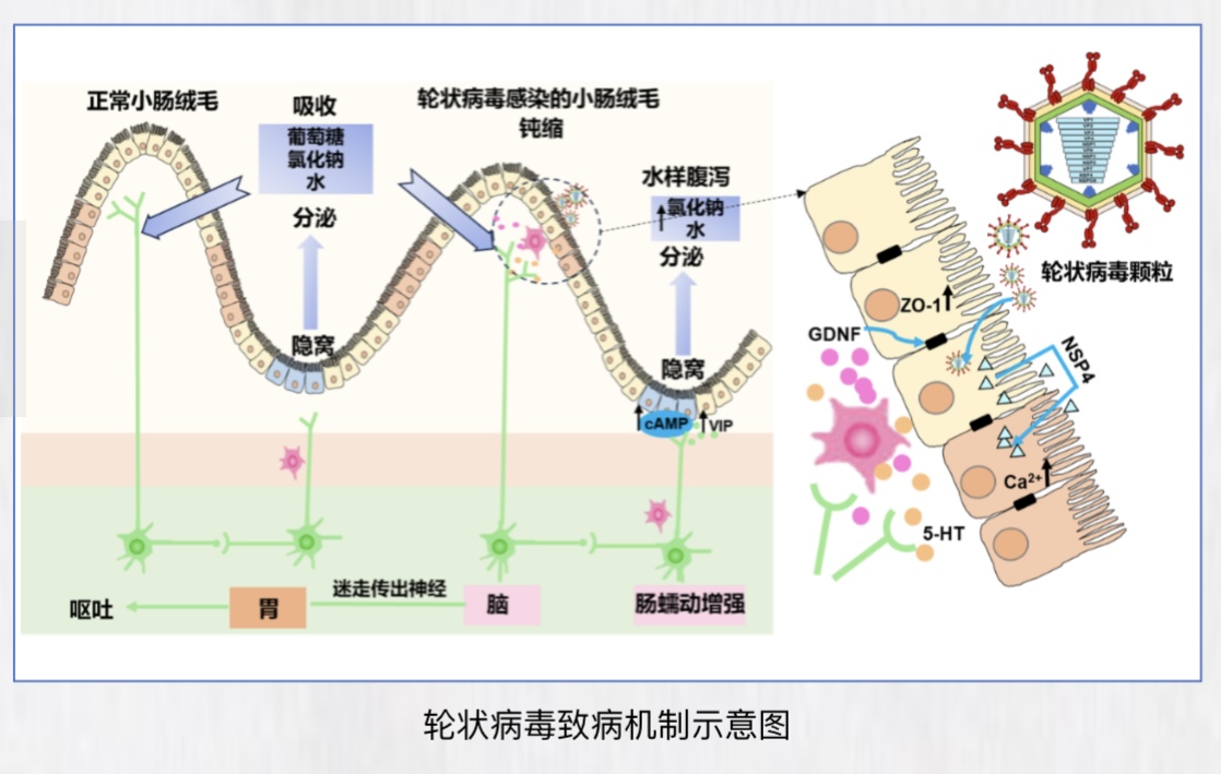 新闻图片5