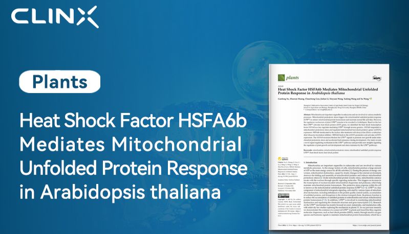 文献速递| 热休克因子HSFA6b介导拟南芥线粒体未折叠蛋白反应