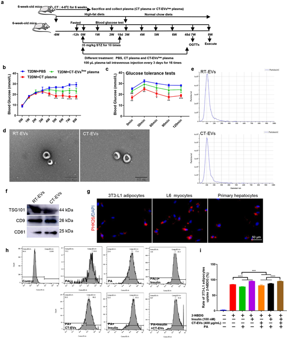 外泌体技术服务 外泌体技术服务