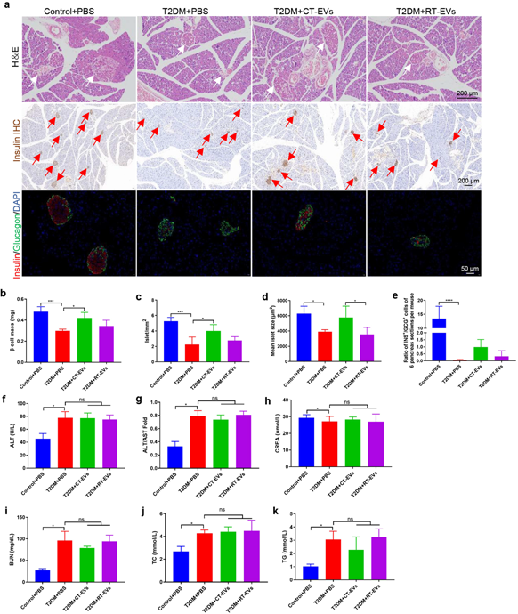 外泌体技术服务 外泌体技术服务