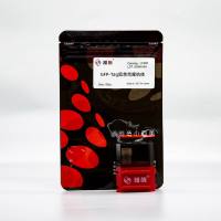 LF309 GFP-Tag鼠单克隆抗体