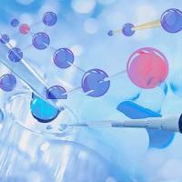 CV-1非洲绿猴肾细胞