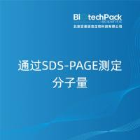 通过SDS-PAGE测定分子量