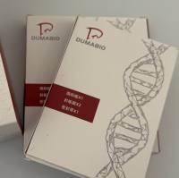 Streptococcus agalactiae无乳链球菌探针法荧光定量PCR试剂盒