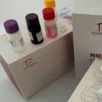 Streptococcus dysgalactiae停乳链球菌探针法荧光定量PCR试剂盒