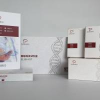 Leishmania siamensis泰国利什曼原虫探针法荧光定量PCR试剂盒