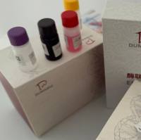 Streptococcus canis犬链球菌探针法荧光定量PCR试剂盒