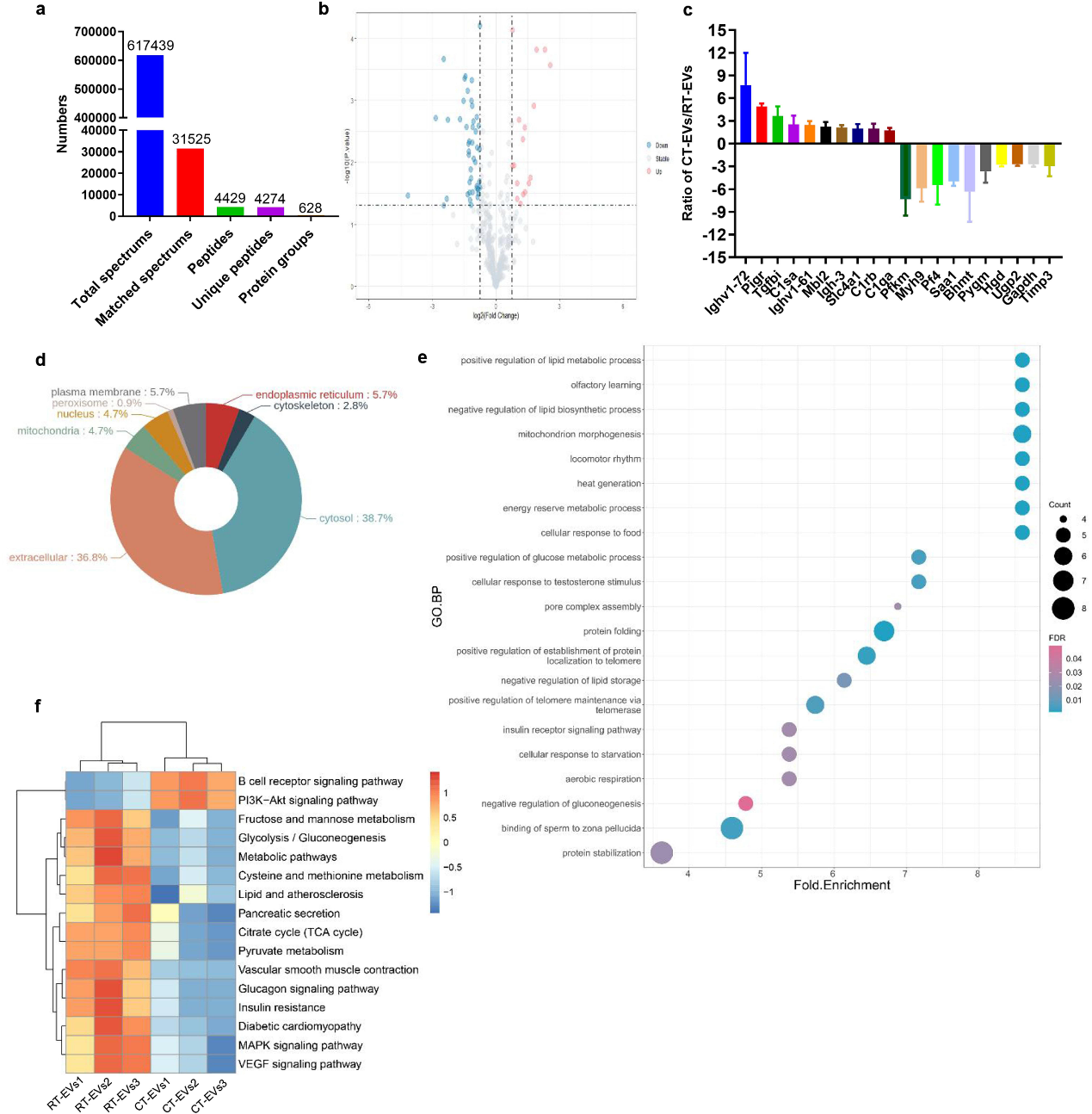 生物信息学分析 生物信息学分析