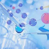 EoL-1人急性髓系白血病细胞