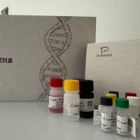 Streptococcus spp.链球菌属探针法荧光定量PCR试剂盒