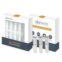 Anti-Human Her2 (Trastuzumab Deruxtecan)