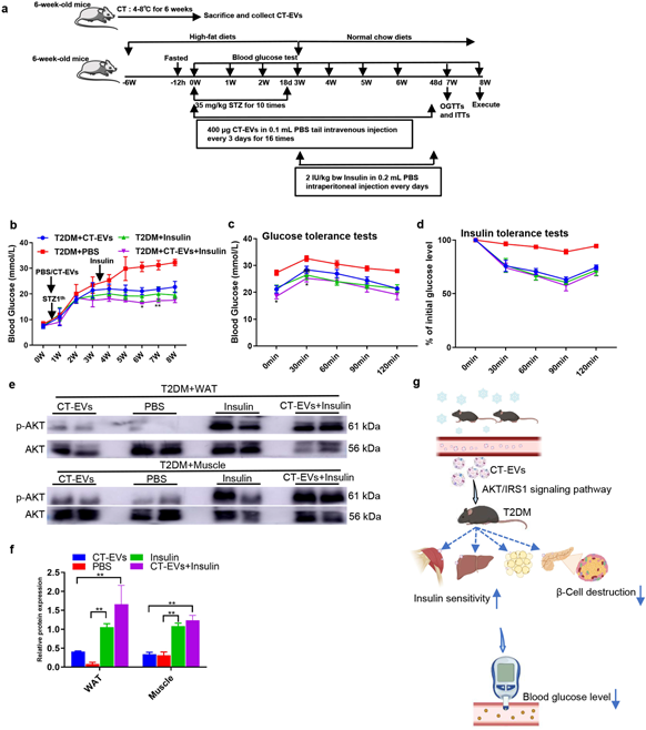 快看快看!被疯抢的“冷暴露降糖发文”多数新发现助力冲击6.6+!赶紧收藏学起来!